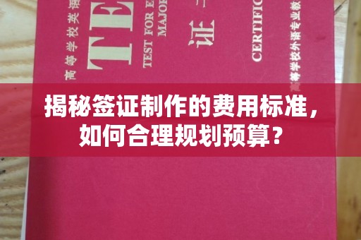 靖江揭秘签证制作的费用标准，如何合理规划预算？