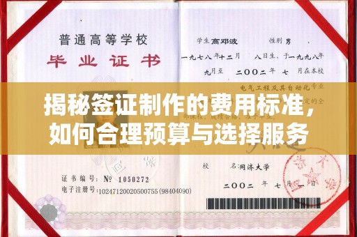 靖江揭秘签证制作的费用标准，如何合理预算与选择服务