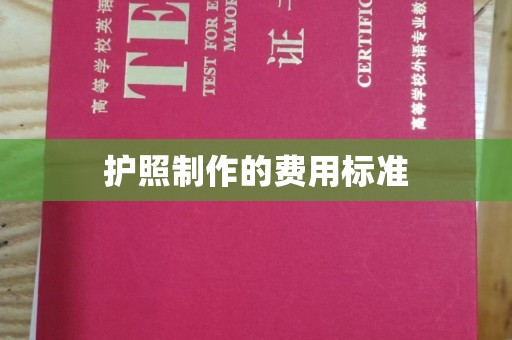 靖江护照制作的费用标准