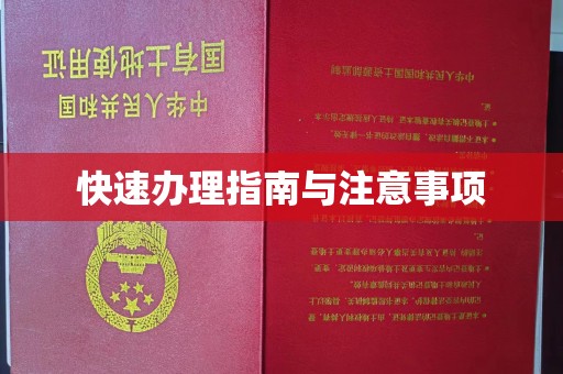 靖江快速办理指南与注意事项